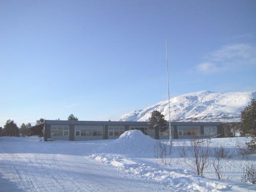 Vikran skole